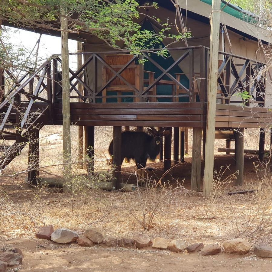 侯斯普瑞特 Kelora Bush Camp酒店 外观 照片